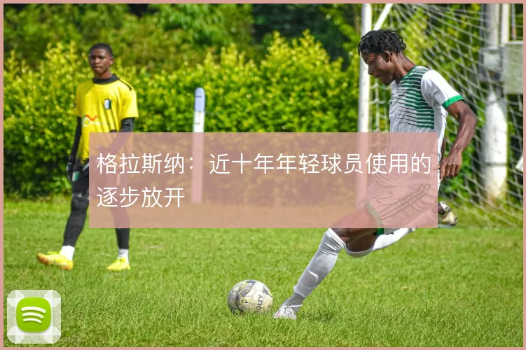 格拉斯纳:近十年年轻球员使用的逐步放开